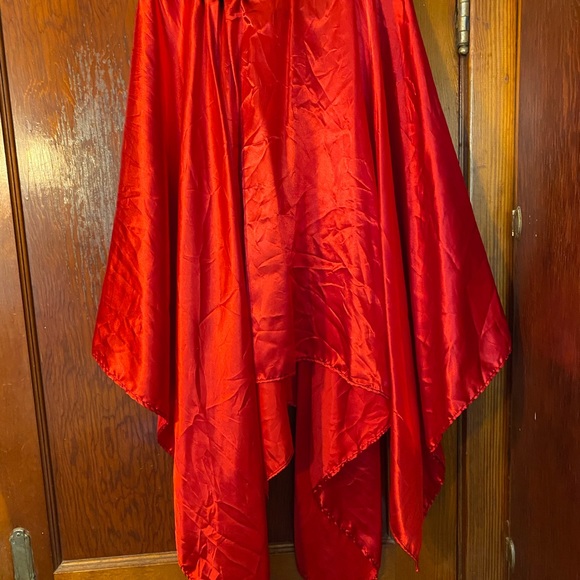 Pirate Costume-Corset & Skirt - Picture 4 of 5